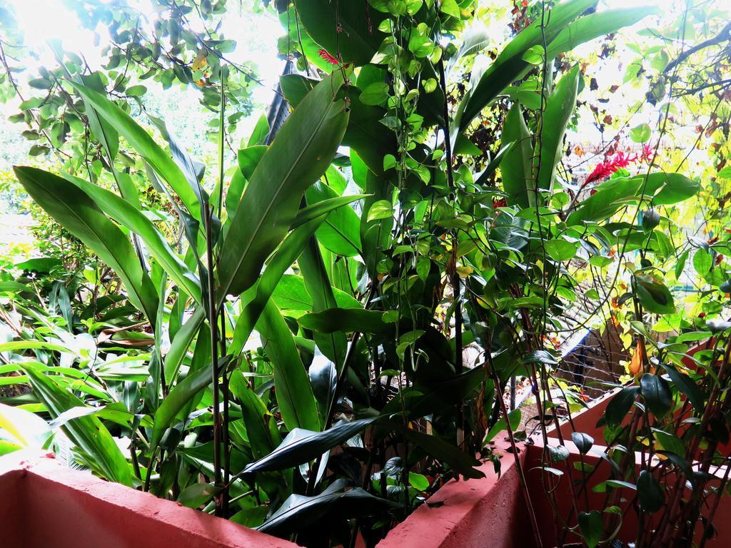 Bed & Breakfast Ti Rio de Janeiro